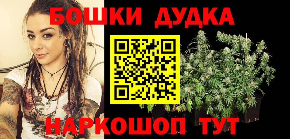 Каннабис ГИДРОПОН Кимры